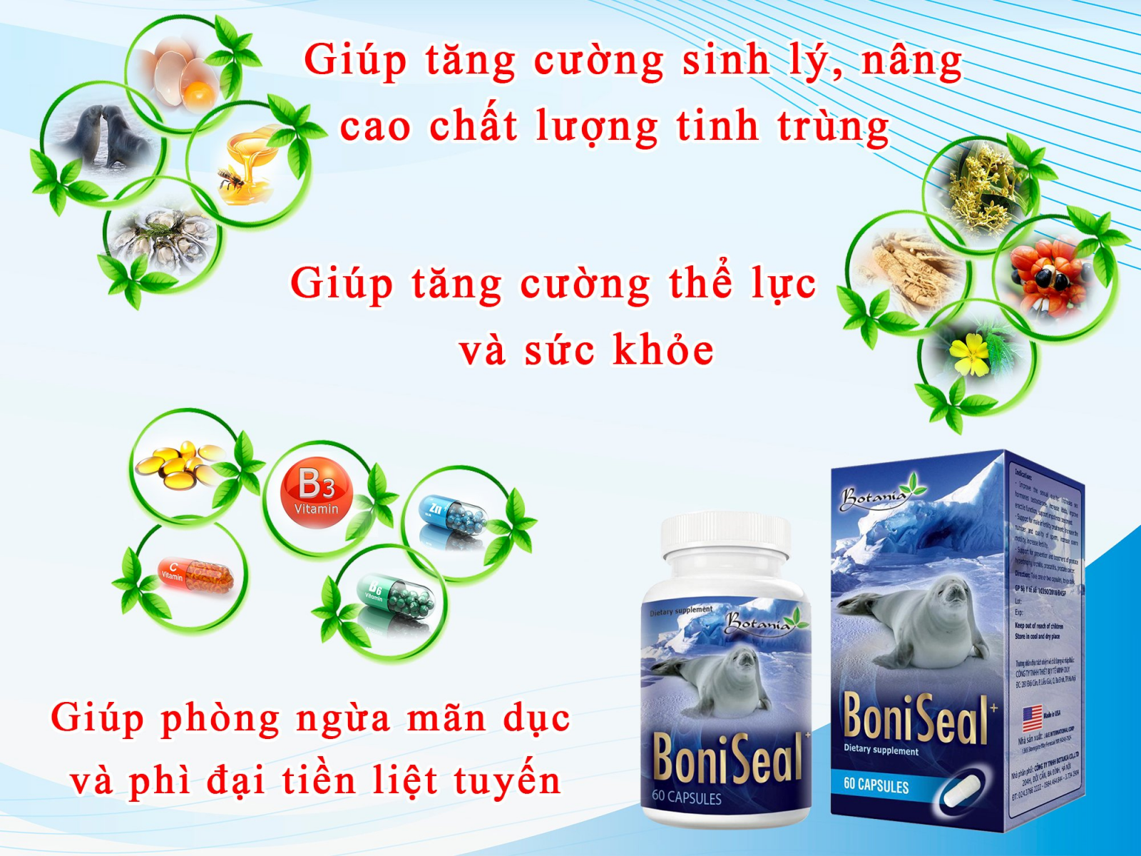 Công thức toàn diện của BoniSeal +