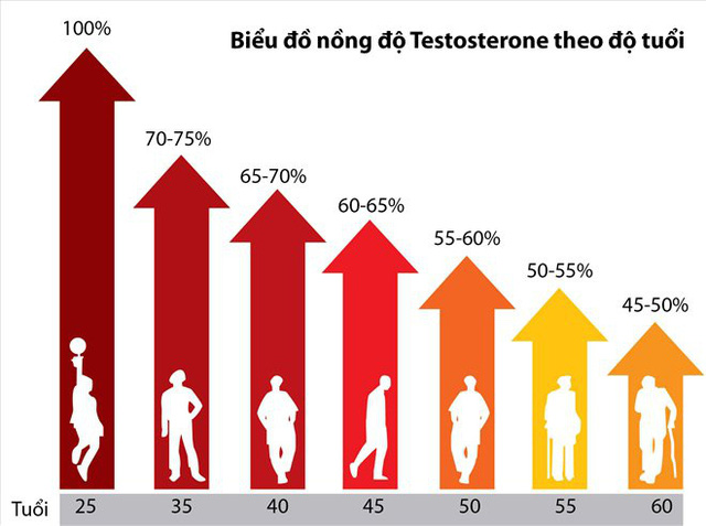 Nồng độ testosteron bị suy giảm dần theo độ tuổi