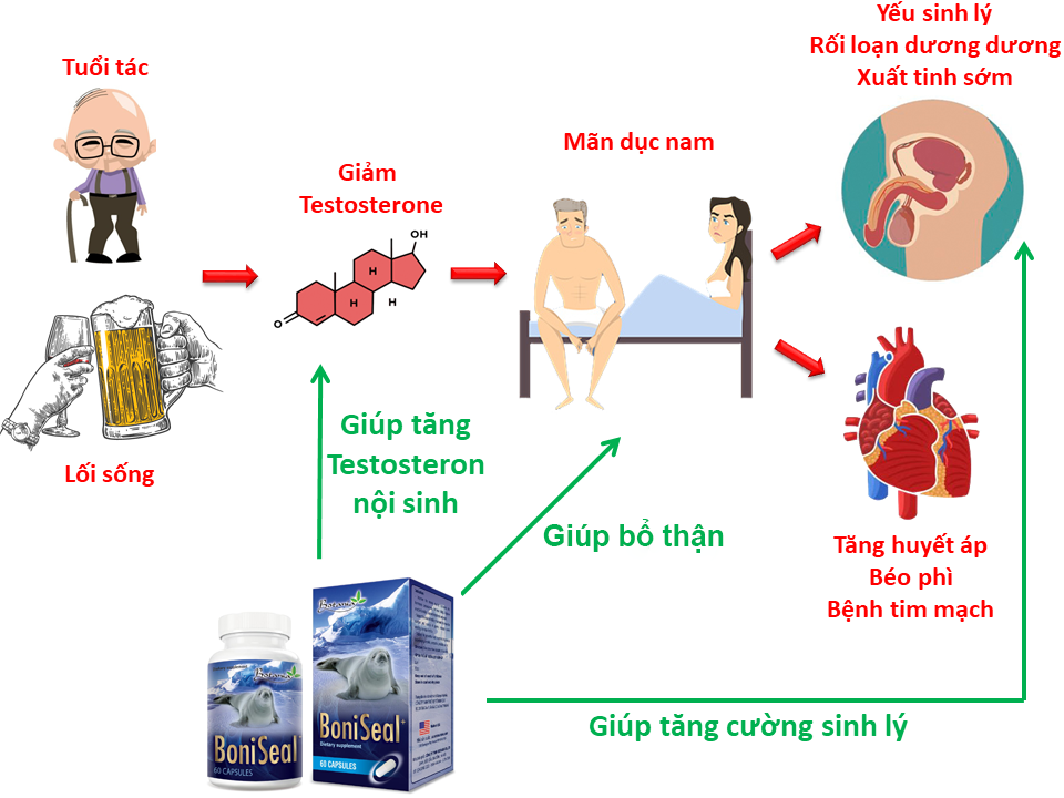 công dụng boniseal