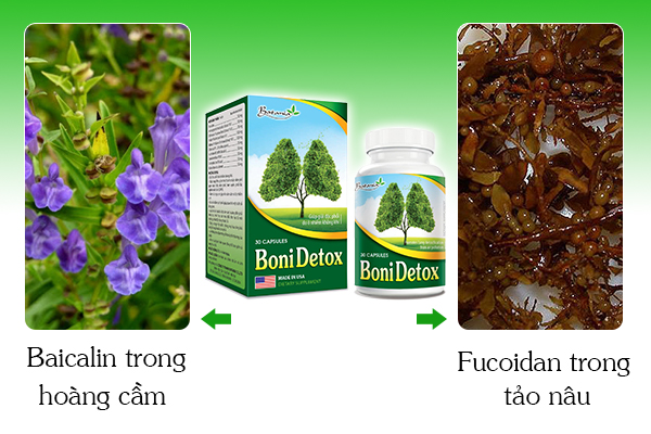 BoniDetox - Giải pháp tối ưu giúp giải độc phổi, phòng ngừa đợt cấp bệnh phổi tắc nghẽn mãn tính