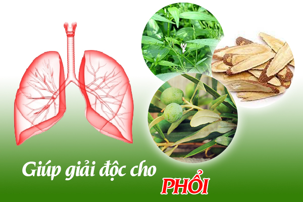 Giải độc phổi rất quan trọng với người bệnh hen suyễn