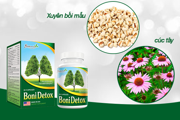 BoniDetox còn chứa thành phần cây cúc tây, xuyên bối mẫu giúp làm sạch phổi