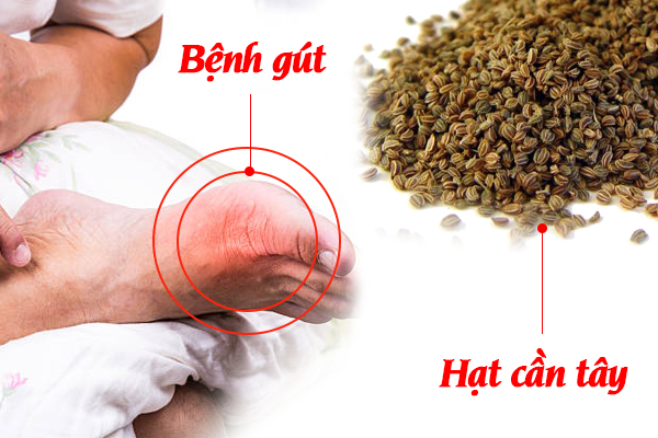 Hạt cần tây