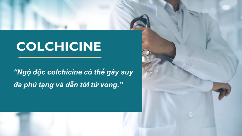 Ngộ độc Colchicine có thể gây suy đa phủ tạng và tử vong