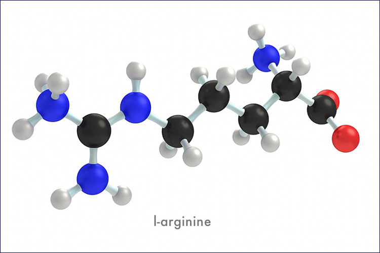 L-Arginine giúp kích thích sản xuất hormone tăng trưởng