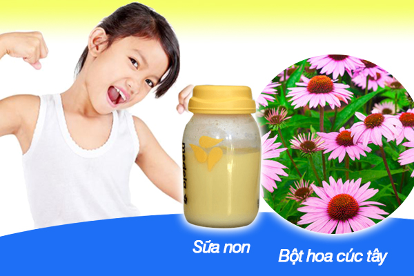 Thành phần giúp tăng sức đề kháng, tăng sức khỏe hệ miễn dịch cho trẻ