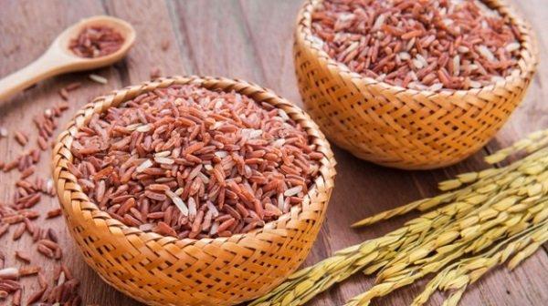 Gạo lứt chứa hàm lượng Phytosterol cao