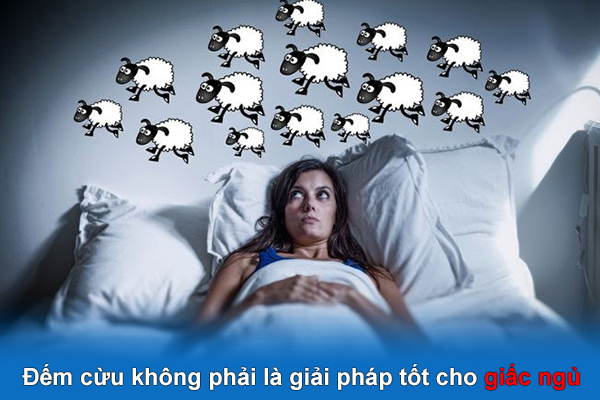  Đếm cừu không phải là giải pháp tốt cho giấc ngủ