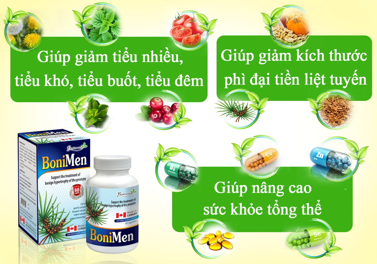 Thành phần và tác dụng toàn diện của sản phẩm BoniMen.