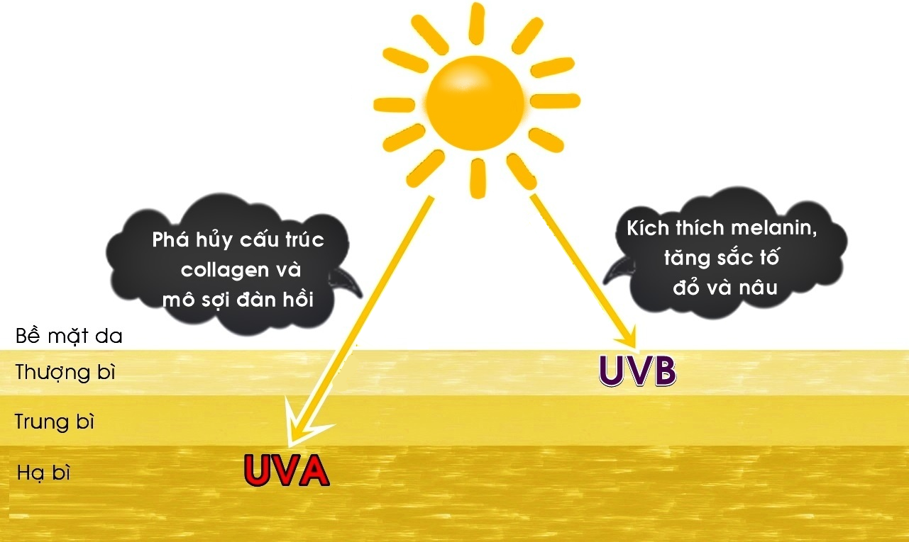 Tác hại của tia UVA và UVB