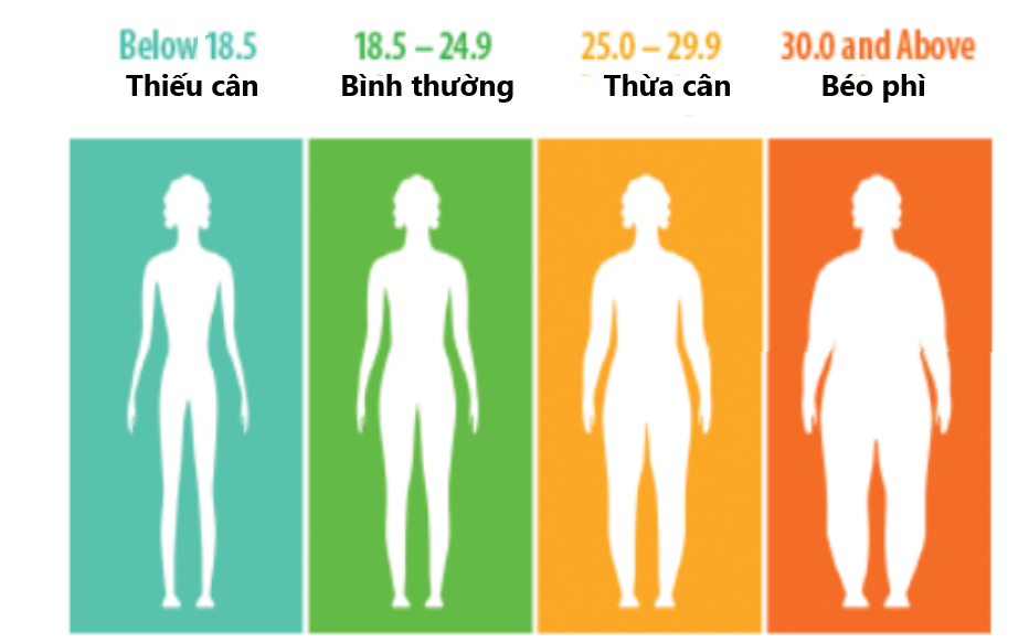 Chỉ số khối cơ thể (BMI) phản ánh thể trạng béo, gầy hay bình thường của một người