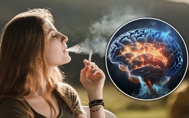 Hút thuốc lá có thể gây teo não