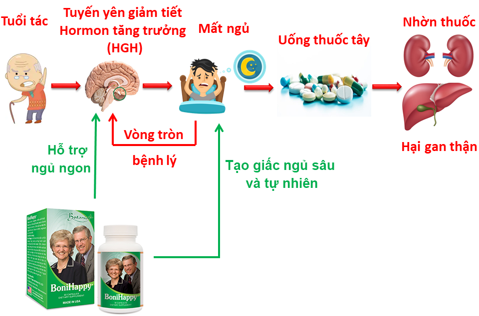 Cơ chế BoniHappy