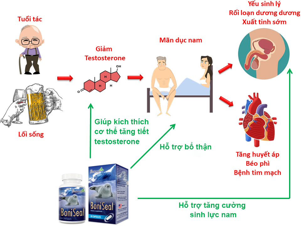 BoniSeal tác động toàn diện giúp loại bỏ xuất tinh sớm, tăng cường sinh lý nam