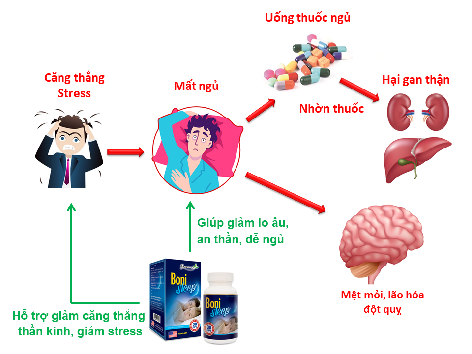 Cơ chế giúp cải thiện giấc ngủ của BoniSleep +