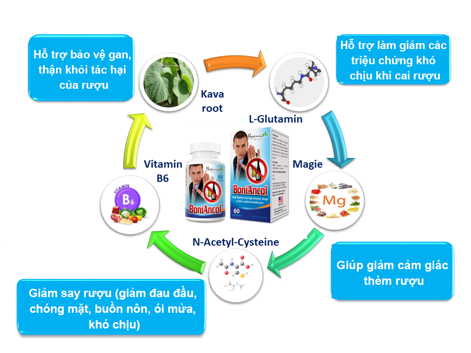 BoniAncol giúp giải rượu nhanh chóng, hiệu quả, an toàn
