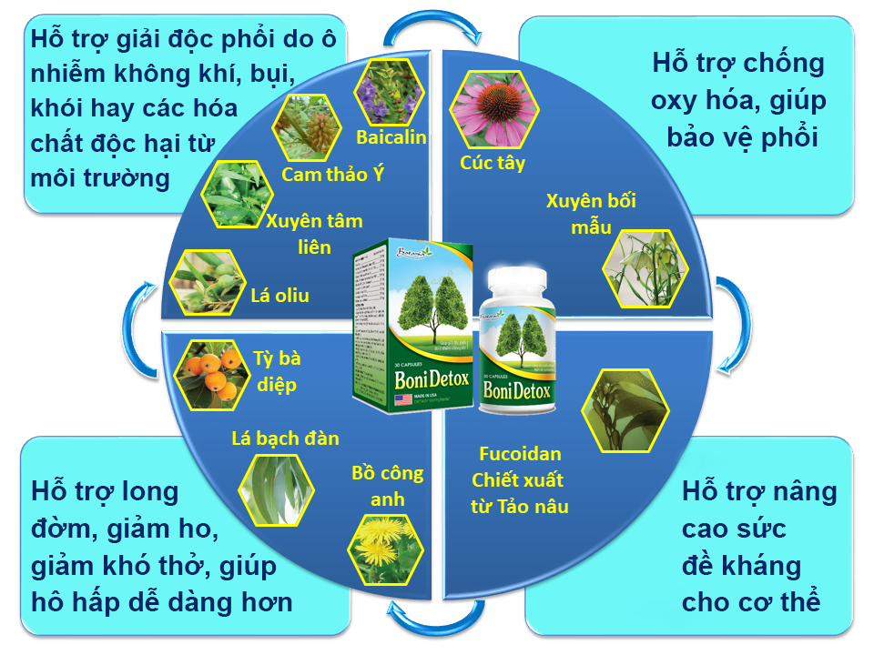 Hình ảnh thành phần sản phẩm BoniDetox