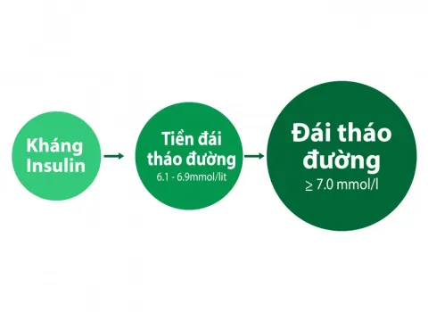 Rối loạn chuyển hóa lipid máu là dấu hiệu chỉ điểm sớm tình trạng đề kháng insulin