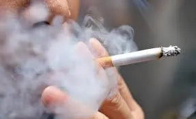 Chất này kích thích sự tăng sinh các tổ chức đệm và sợi, từ đó làm tăng kích thước và khối lượng của tiền liệt tuyến