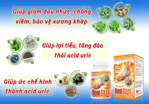 Tác dụng đột phá của sản phẩm BoniGut +