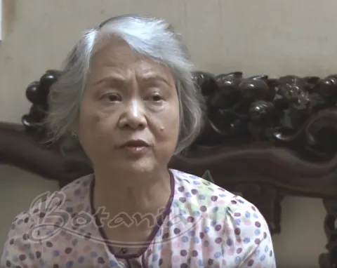 bác nguyễn thị tâm sử dụng bonihappy
