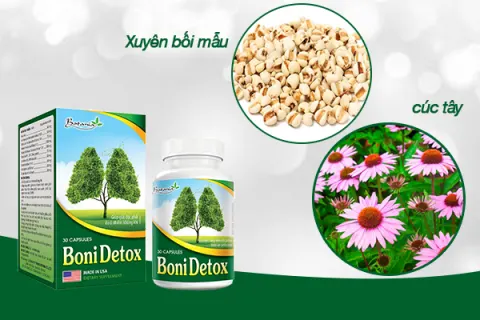 BoniDetox còn chứa thành phần cây cúc tây, xuyên bối mẫu giúp làm sạch phổi
