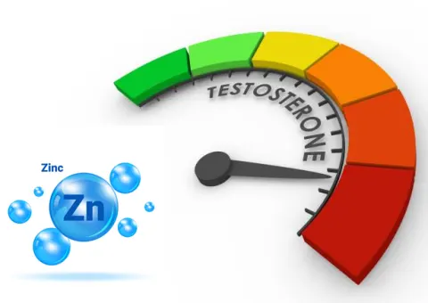 Thiếu kẽm khiến testosterone bị suy giảm