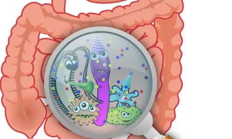 Vi khuẩn đường ruột giúp tạo ra 90% serotonin