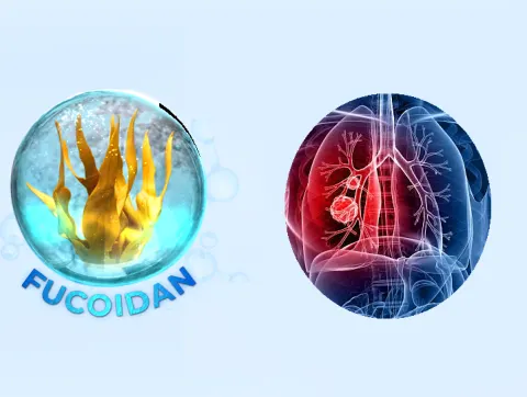 Sử dụng Fucoidan - Cách tiêu diệt tế bào phổi đột biến an toàn và hiệu quả