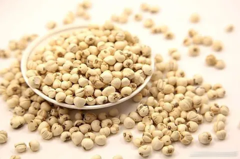 Xuyên bối mẫu