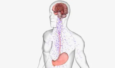 Mất ngủ gây rối loạn nội tiết tố, tăng hormone thèm ăn và giảm hormone tạo cảm giác no