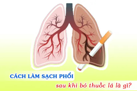 Cách làm sạch phổi sau khi bỏ thuốc lá có thể bạn chưa biết!