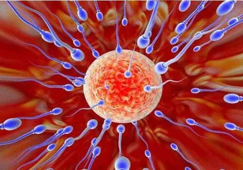 Tinh trùng yếu là tình trạng suy giảm chất lượng tinh trùng