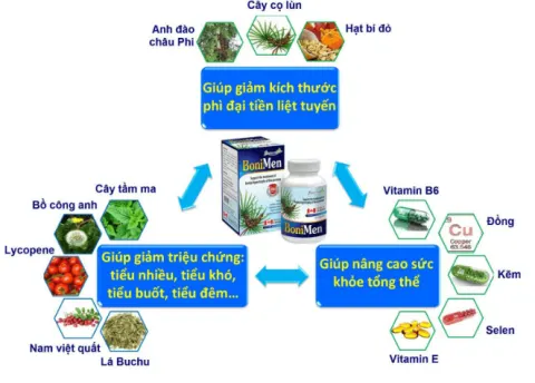 BoniMen là giải pháp tốt nhất cho bệnh nhân bị tiểu rắt do phì đại tiền liệt tuyến