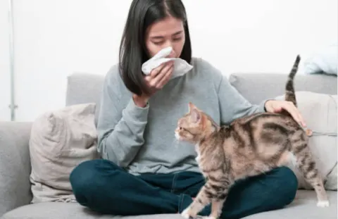Người bệnh nên tránh xa các dị nguyên, lông động vật là một ví dụ