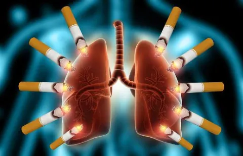 Hệ hô hấp là một trong những cơ quan chịu ảnh hưởng nghiêm trọng của khói thuốc lá