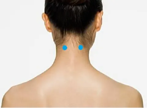 Vị trí huyệt thiên trụ
