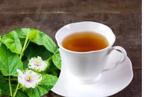 Trà lạc tiên