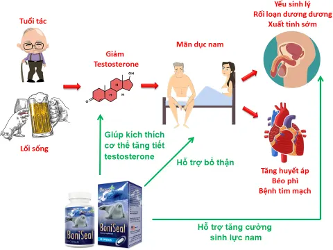 BoniSeal tác động toàn diện giúp tăng cường sinh lý, khắc phục xuất tinh sớm.