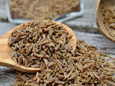 Hạt cần tây giúp hạ acid uric trong máu
