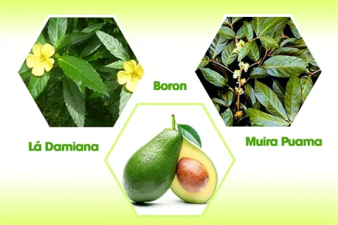 Các thảo dược tự nhiên giúp tăng cường sinh lý