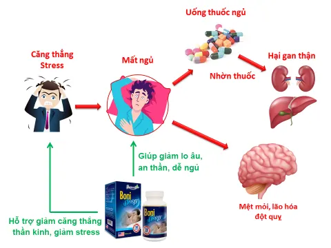 công dụng BoniSleep