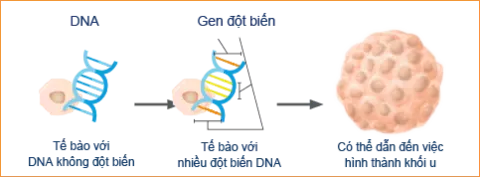 Hé lộ thủ phạm thật sự gây ra ung thư