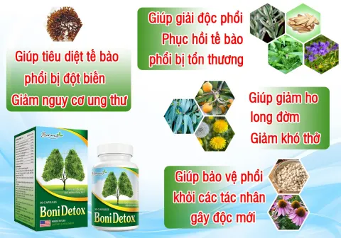 Thành phần toàn diện trong BoniDetox