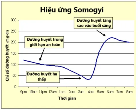 Biểu đồ minh họa đường huyết của bệnh nhân khi gặp hiệu ứng Somogyi