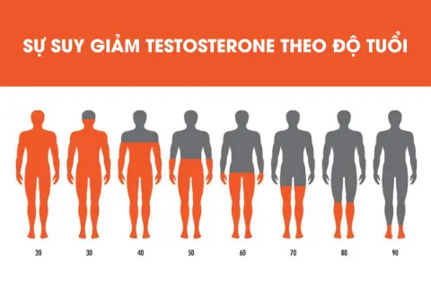 Description: Suy Giảm Testosterone Ở Quý Ông Trung Niên | Biểu Hiện, Chẩn Đoán & Điều Trị