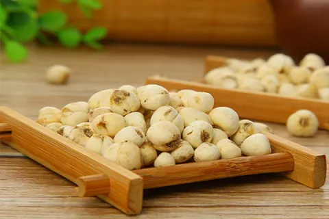 Vị dược liệu xuyên bối mẫu