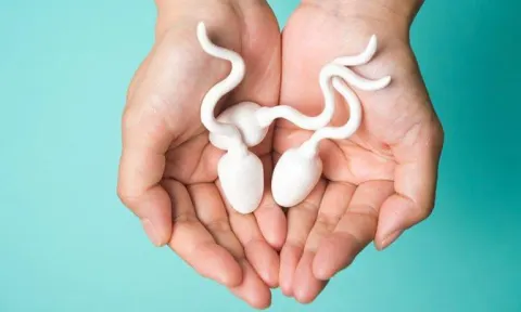Thuốc lá gây giảm chất lượng và số lượng tinh trùng.
