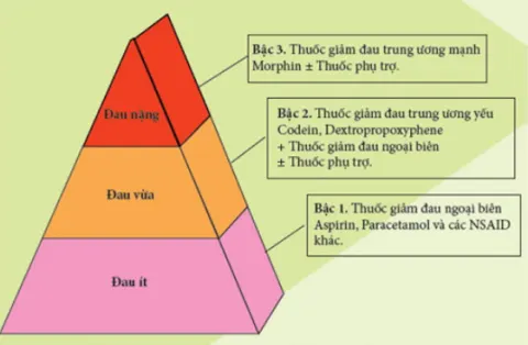 Thang giảm đau 3 bậc của Tổ chức Y tế Thế giới (WHO)