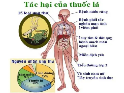 Khói thuốc lá gây ra hàng loạt các bệnh nguy hiểm